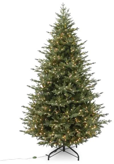 Grand Portage Fir 9  Artificial Christmas Tree With 1000 Warm White LED Lights