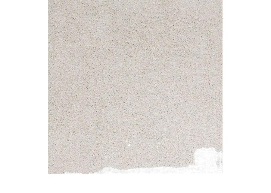 Bliss Shag Ivory Area Rug - 3 3  X 5 3  