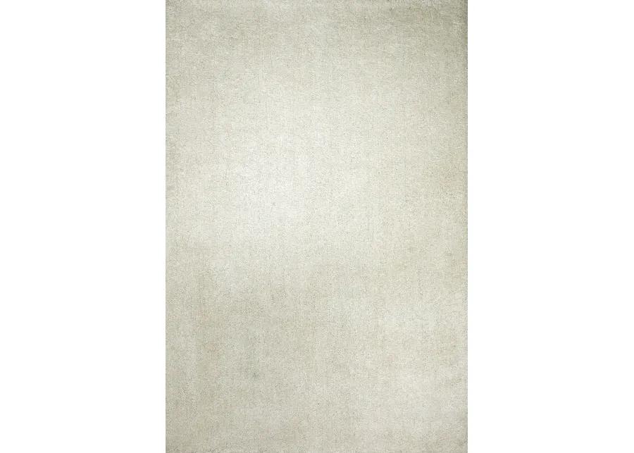 Bliss Shag Ivory Area Rug - 3 3  X 5 3  