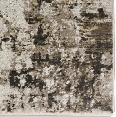 Denizi Putty Area Rug - 3 3  x 5 3 