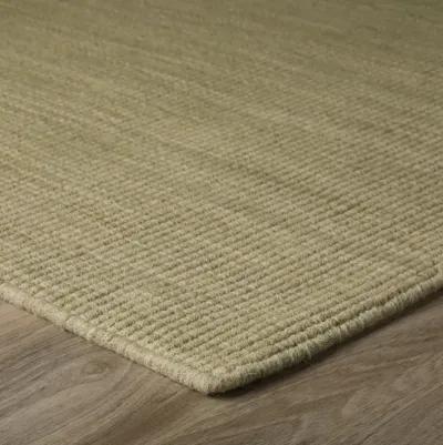 Monaco Aloe 5 0  X 7 6  Area Rug