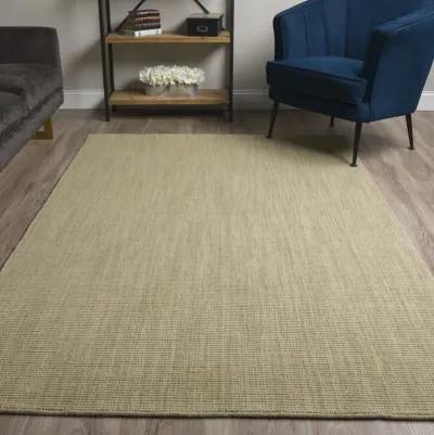 Monaco Aloe 5 0  X 7 6  Area Rug