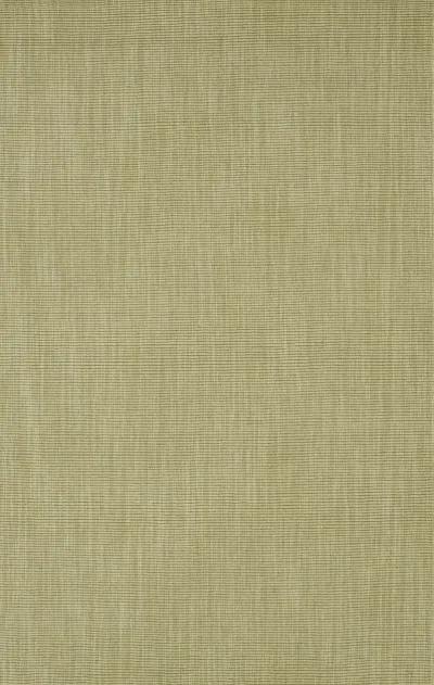 Monaco Aloe 5 0  X 7 6  Area Rug