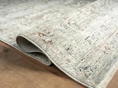 Riviera Area Rug - 3 0  X 12 0 