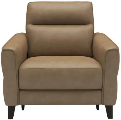 Bohan Leather Power Recliner