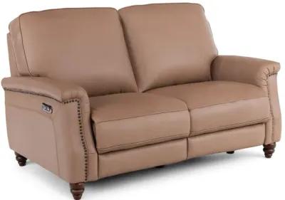 Warren Leather Recliner Loveseat