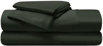 Dri-Tec Queen Sheet Set - Forest Green