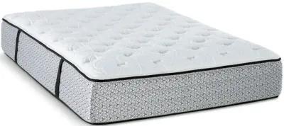 Eden Plush Twin XL Mattress