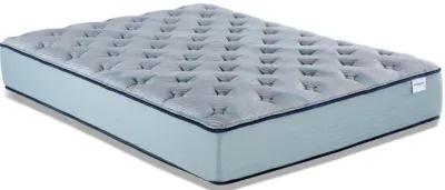 Invigorate Plush Twin Mattress