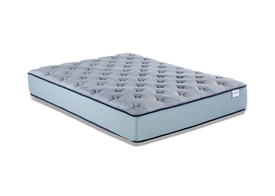 Invigorate Plush Twin XL Mattress