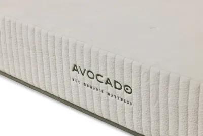 Eco Organic Twin XL Mattress