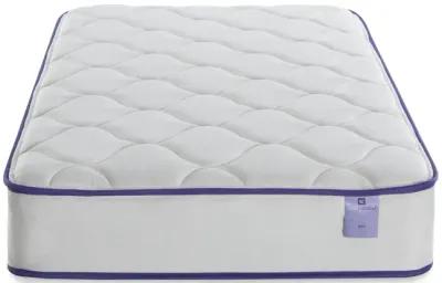 Ava Queen Mattress