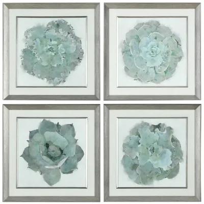 Natural Beauties Framed Prints - Set of 4