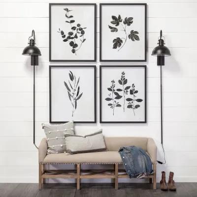 Botanical Study I Framed Art