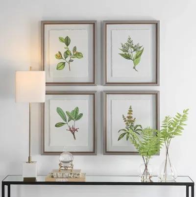 Set 4 Wildflowers Framed Prints