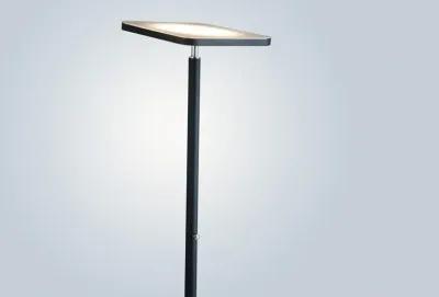 Hector Floor Lamp - Black