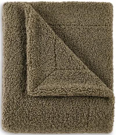 Teddy Throw Blanket