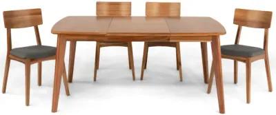 Tyler Modern Dining Table With 4 Wood Back Chairs