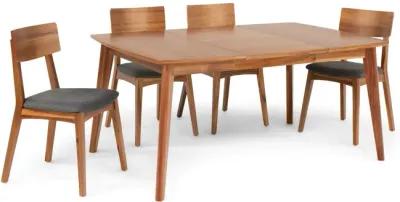 Tyler Modern Dining Table With 4 Wood Back Chairs