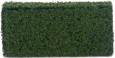 Boxwood Hedge - 48  x 26 