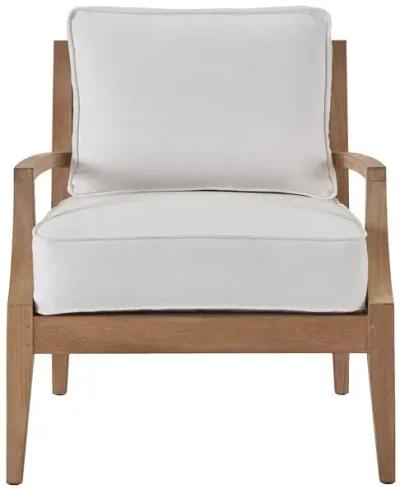 COASTAL LIVING OUTDOOR CHESAPEAKE LOUNGE CHAIR