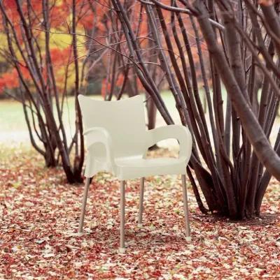 Compamia Romeo Resin Dining Arm Chair Beige