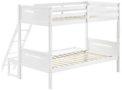 Coaster Littleton Wood Twin Over Full Bunk Bed White