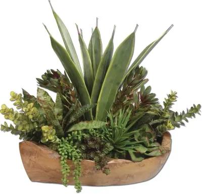 Uttermost Salar Succulents in Teak Bowl