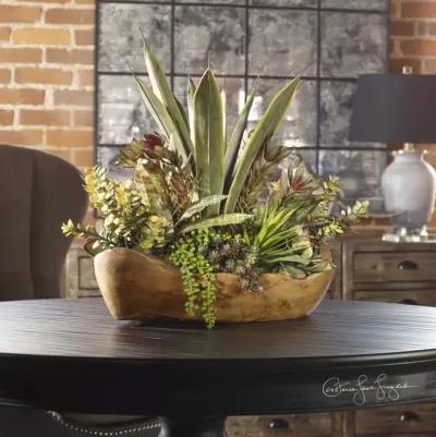 Uttermost Salar Succulents in Teak Bowl