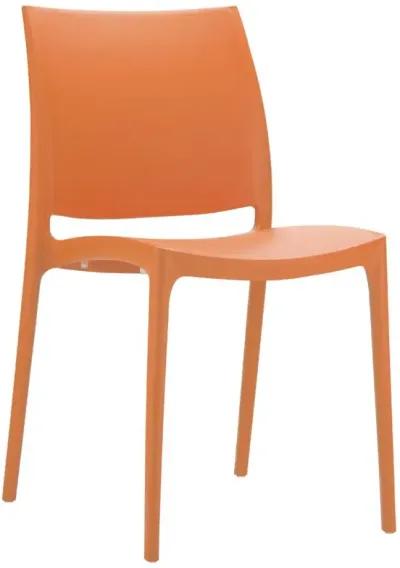 Compamia Maya Dining Chair Orange