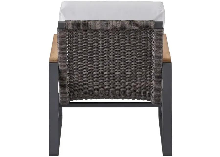 COASTAL LIVING OUTDOOR SAN CLEMENTE LOUNGE CHAIR