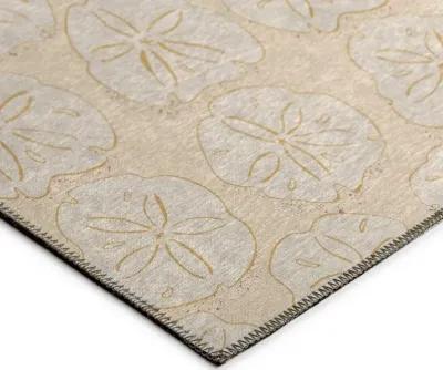 Sandy Impressions Coastal Sand Dollar Pattern 5'X8' Area Rug