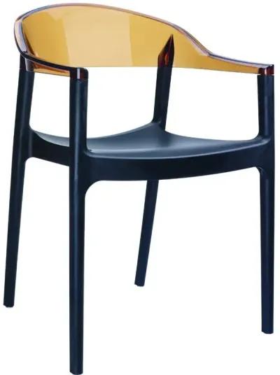 Compamia Carmen Modern Dining Chair Black Seat Transparent Amber Back