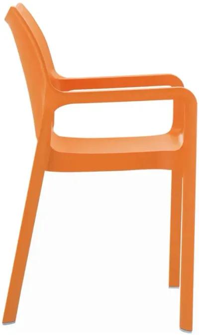 Compamia Diva Resin Outdoor Dining Arm Chair Orange