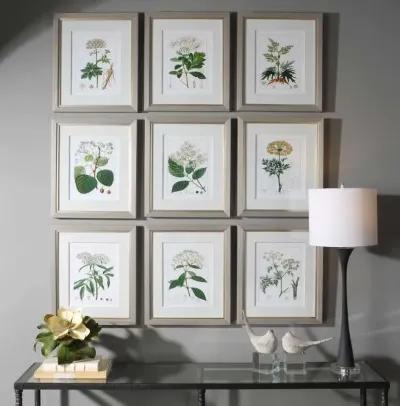 Uttermost Antique 9-Piece Green/Light Gray/White/Yellow Framed Print Set