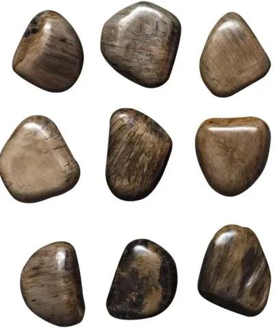 Uttermost Pebbles 9-Piece Walnut Brown Wall Decor Set