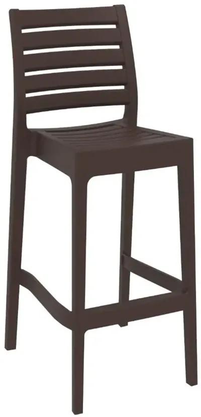 Compamia Ares Resin Bar Stool Brown