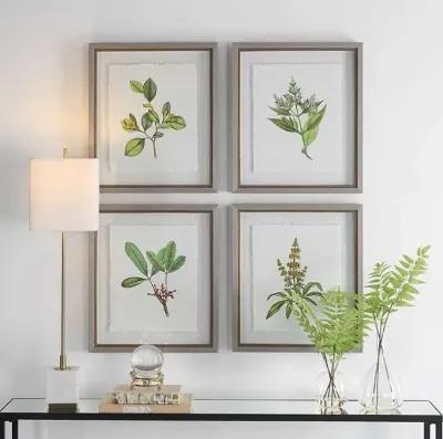 Uttermost Wildflower Study 4-Piece Green/Light Gray/White Framed Print Set