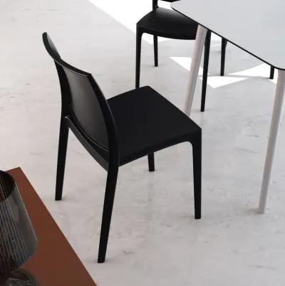 Compamia Maya Dining Chair Black