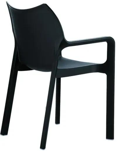 Compamia Diva Resin Outdoor Dining Arm Chair Black