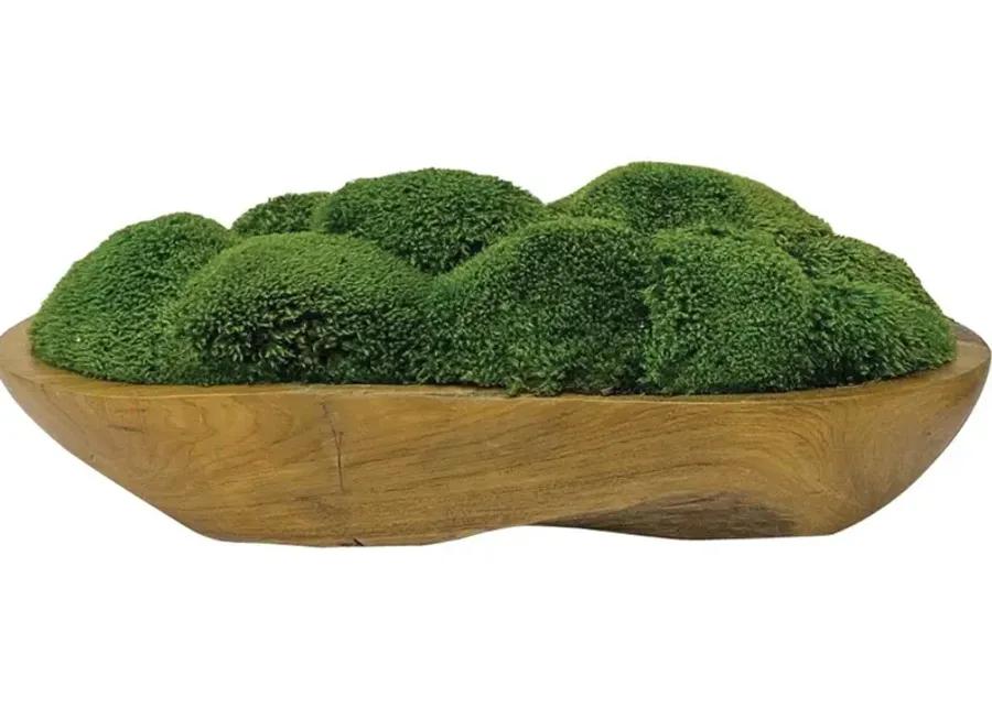 KINSALE NATURAL TEAK MOSS CENTERPIECE