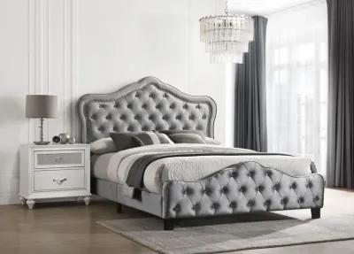 Coaster Bella Upholstered King Panel Bed Grey