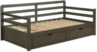 Coaster Sorrento 2-Drawer Twin XL Daybed with Extension Trundle Grey