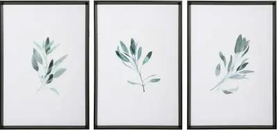 Uttermost Simple Sage 3-Piece Green Watercolor Prints Wall Art