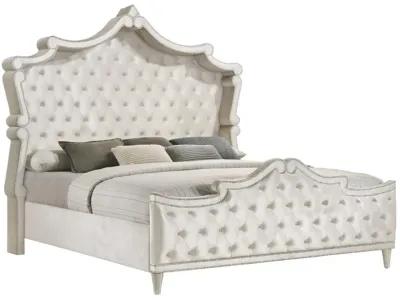 Coaster Antonella Upholstered California King Panel Bed Ivory