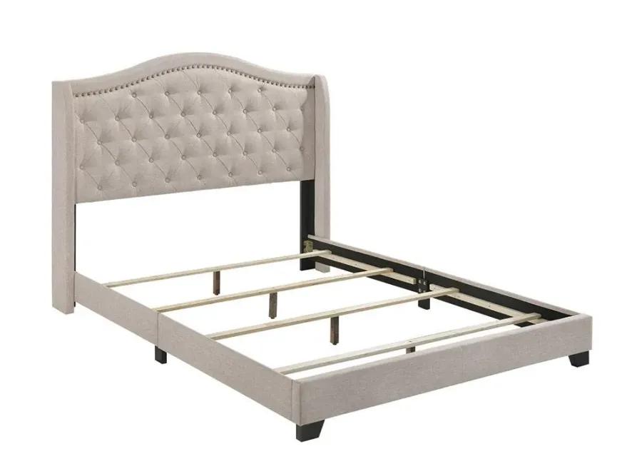 Sonoma Upholstered Queen Wingback Bed Beige