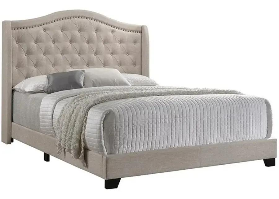 Sonoma Upholstered Queen Wingback Bed Beige