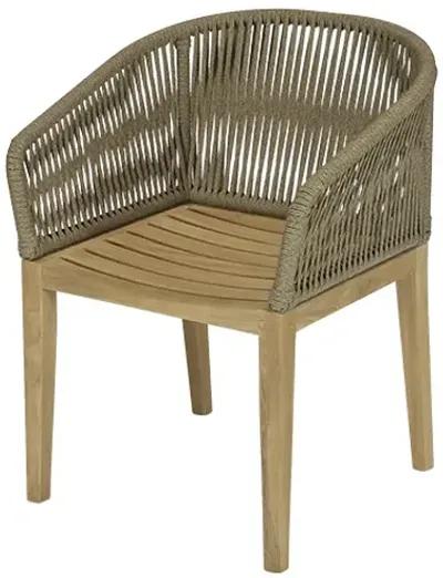 Royal Teak Malibu Outdoor Dining Chair Desert Sand