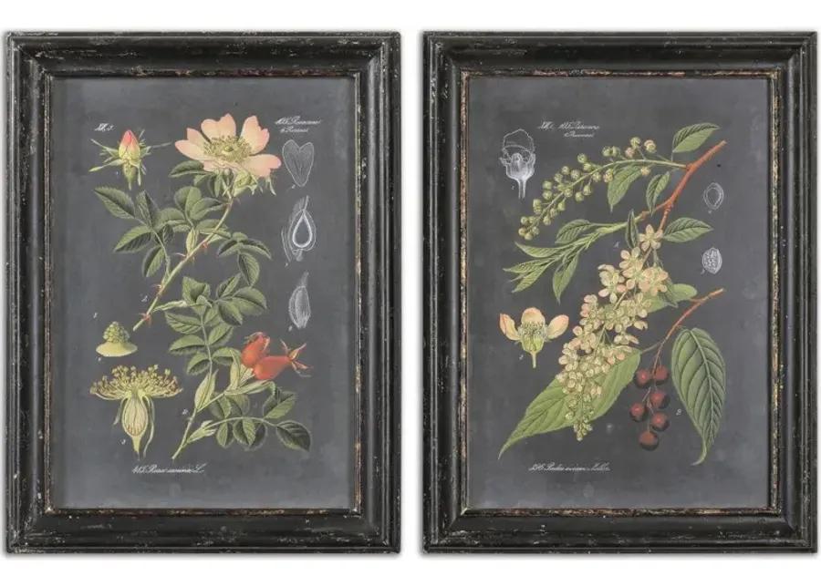 MIDNIGHT BOTANICALS 2-PIECE AGED BLACK WALL ART