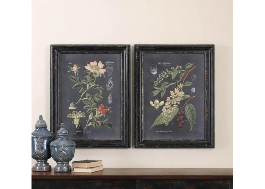 MIDNIGHT BOTANICALS 2-PIECE AGED BLACK WALL ART